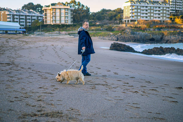 istock Mature man walks on the beach with a dog 1468926952