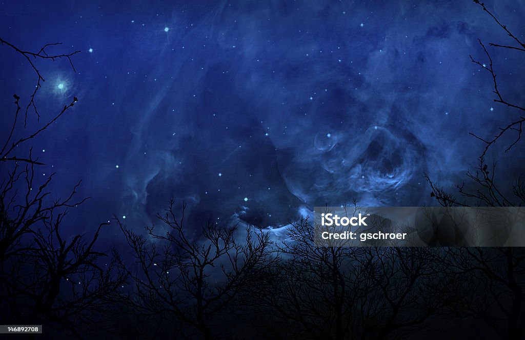 Silhouette misteriosi Foresta In blu cielo notturno - Foto stock royalty-free di Foresta