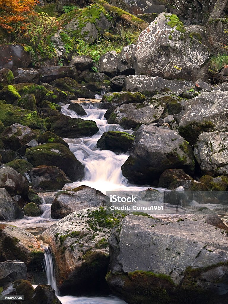 Autumnal detalle - Foto de stock de Agua libre de derechos