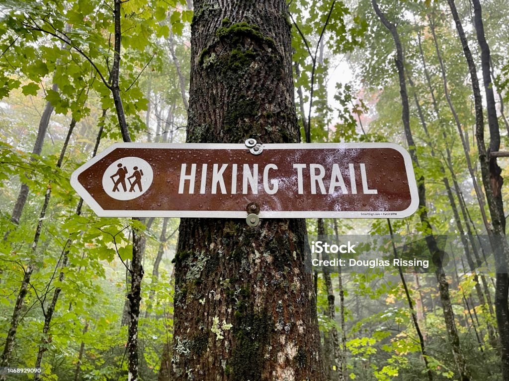Hiking Trail Sign Sign Stock Photo