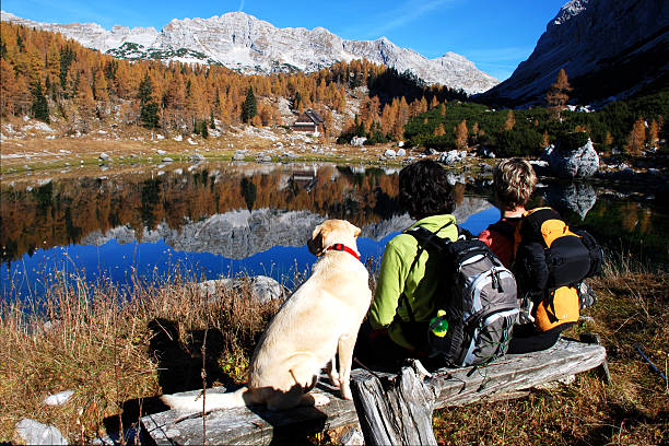 istock Hikers and dog by the mountain lake 146893266