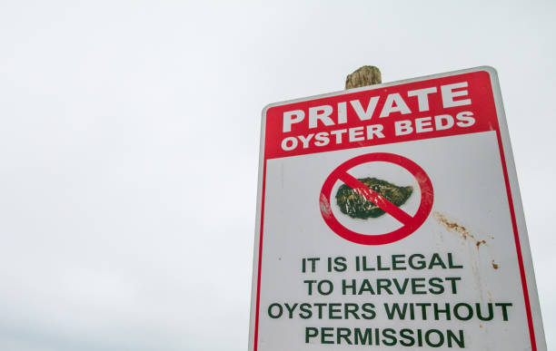 istock Private Oyster Beds Sign at Whistable in Kent, England 1468933802