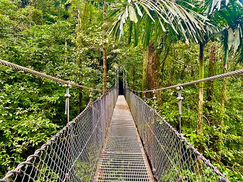 Jungle Hanging Bridge, Costa Rica