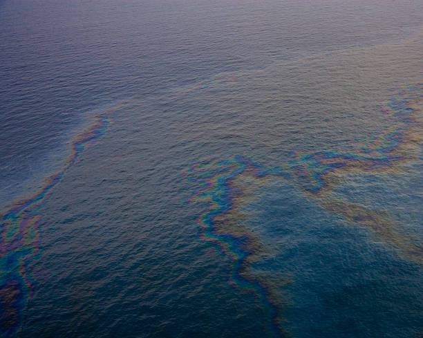 chiazza di petrolio nel golfo del messico - oil slick foto e immagini stock