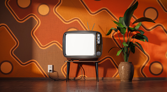 Vintage blank screen TV against to 60s wallpaper, next to plant in a pot