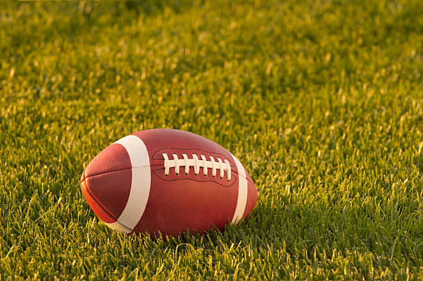 istock Football on natural grass 146894027