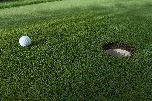 istock Golf ball at putting hole in green grass 146894034
