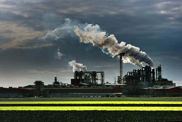 istock Industrial plant producing smoke into a dark sky 146894104