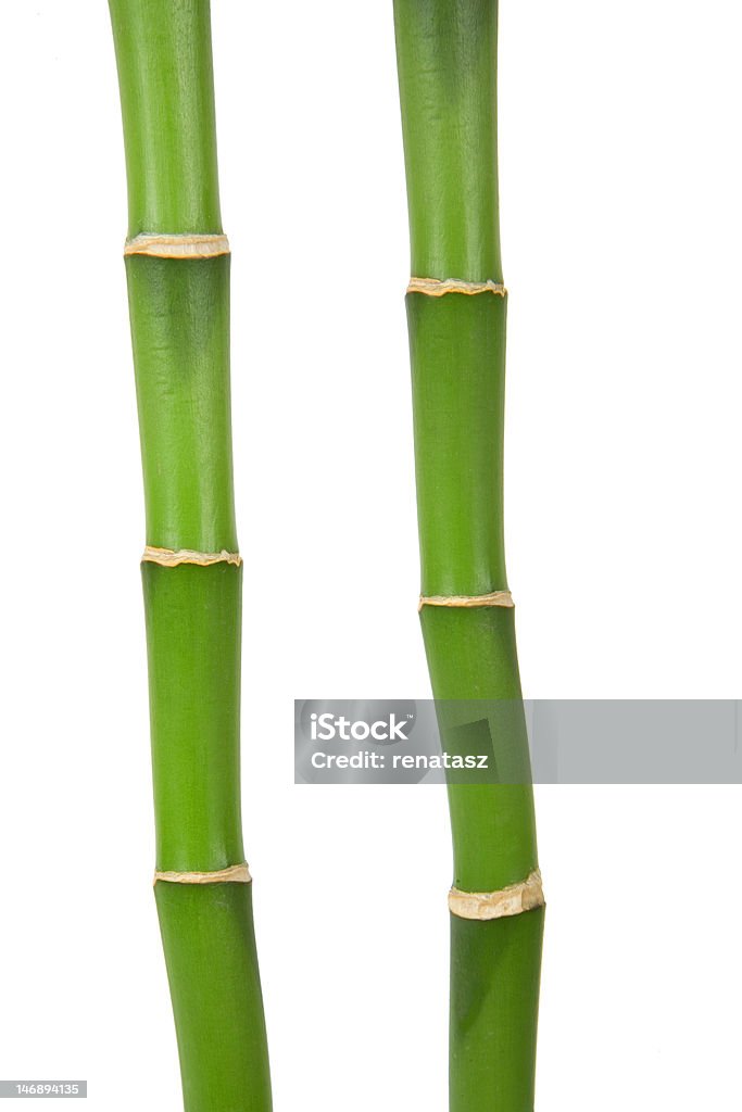 Deux bambou vert - Photo de Abstrait libre de droits