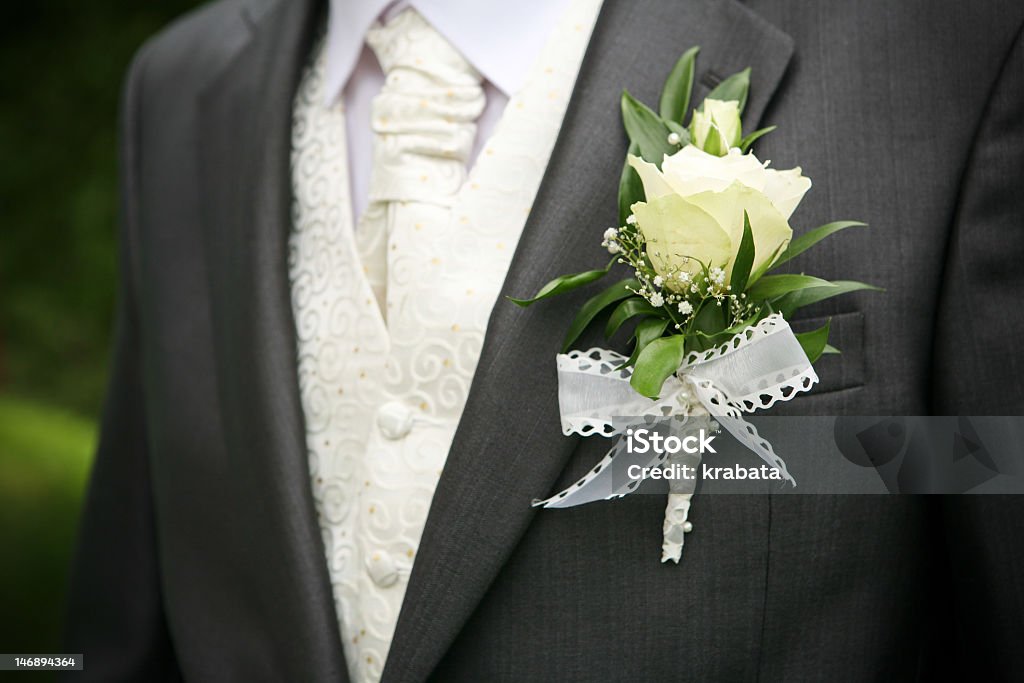 Rose auf Bräutigam suit - Lizenzfrei Anzug Stock-Foto