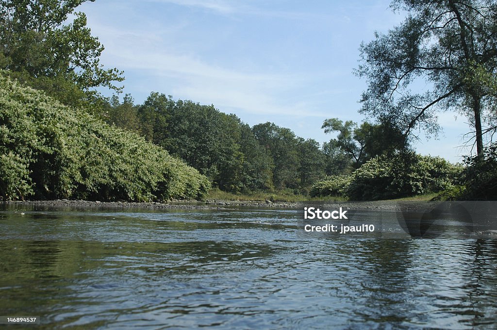 West Branch del Fiume Delaware - Foto stock royalty-free di Delaware