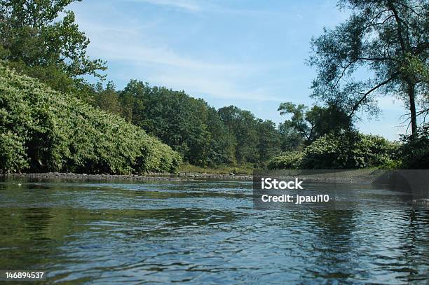 West Branch Del Fiume Delaware - Fotografie stock e altre immagini di Delaware - Delaware, Acqua, Ambientazione esterna