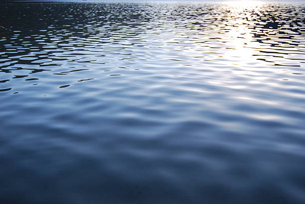 Water texture. Small lake ripples and soft sunshine reflections. Useful for backgrounds. water surface stock pictures, royalty-free photos & images