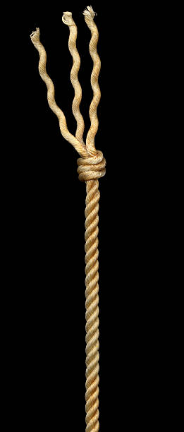 istock Rope with knot xxl 146894637