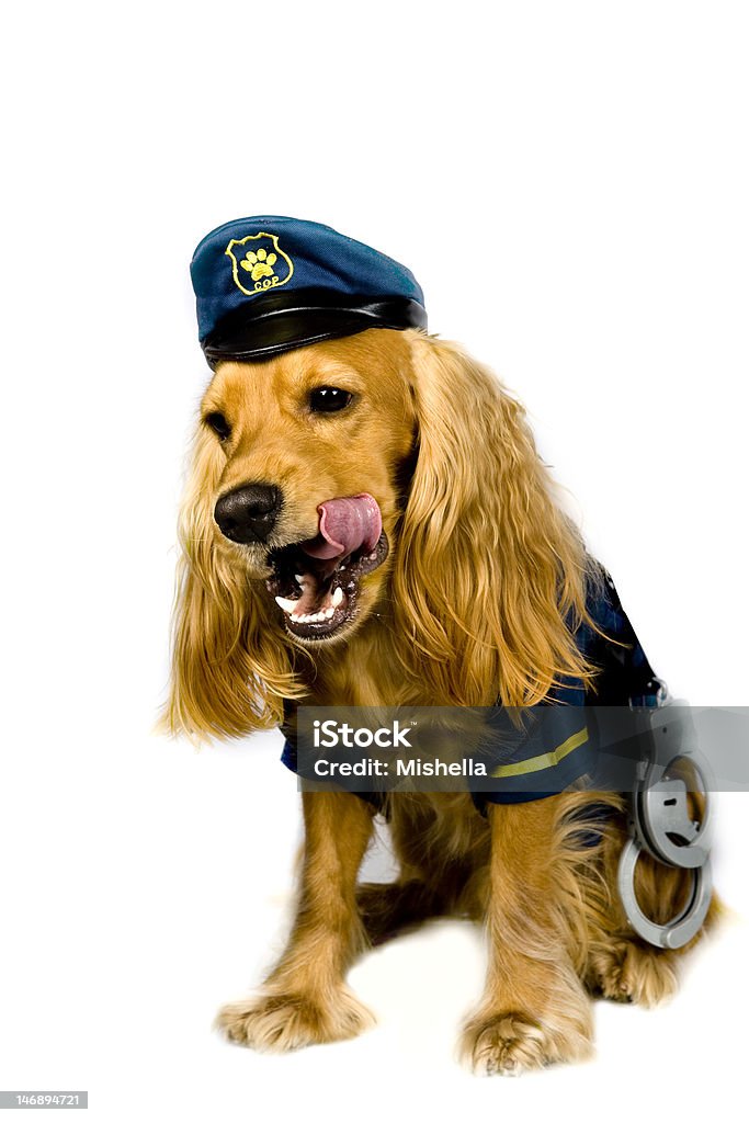 Cão da polícia - Foto de stock de Animal royalty-free