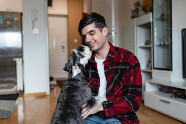 istock Young man playing with his schnauzer dog 1468952210