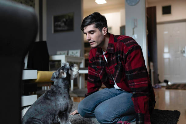 istock Young man playing with his schnauzer dog 1468952276