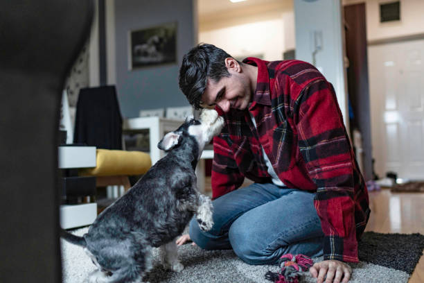 istock Young man playing with his schnauzer dog 1468952301