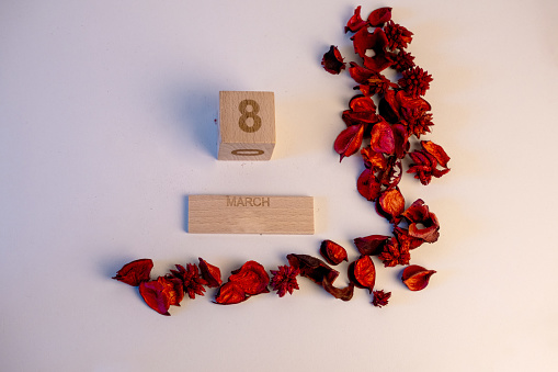 Wooden calendar marking March 8 for Women's Day with many red dry flowers around it on a white background.