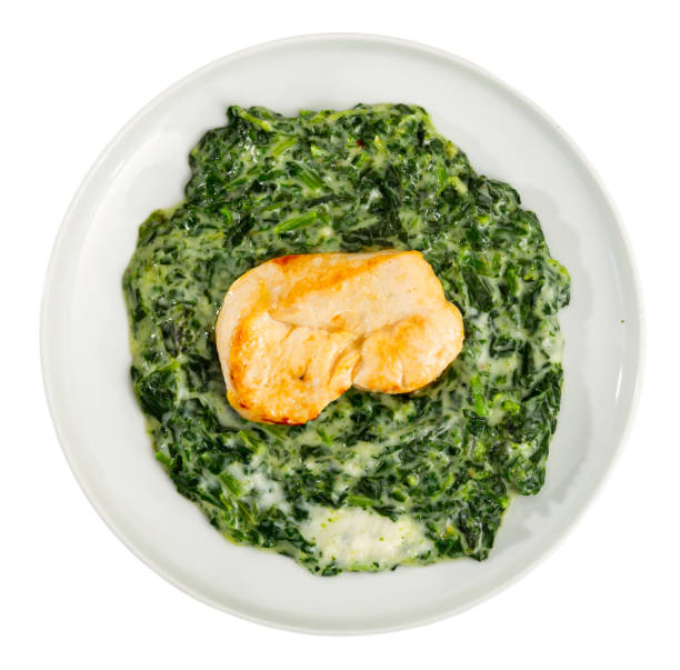 Chicken breast with spinach in bechamel sauce close up
