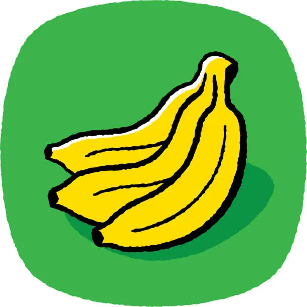 Vector illustration of Bananas Doodle 7