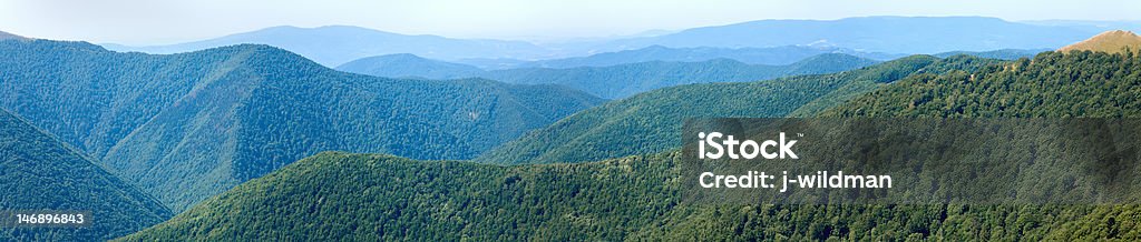 Bosque de verano hazy vista panorámica de la montaña - Foto de stock de Agosto libre de derechos