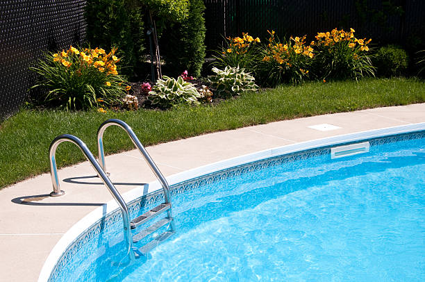 istock A swimming pool in the backyard at home on a sunny day 146896991