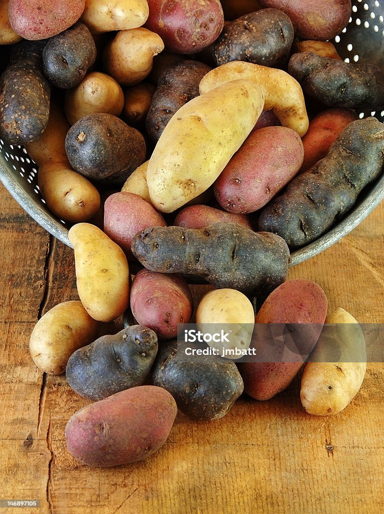 De pittoresques de pommes de terre en Collander - Photo de Pomme de Terre Fingerling libre de droits