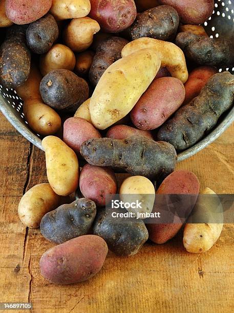 Photo libre de droit de De Pittoresques De Pommes De Terre En Collander banque d'images et plus d'images libres de droit de Pomme de Terre Fingerling - Pomme de Terre Fingerling, Aliment, Aliment cru