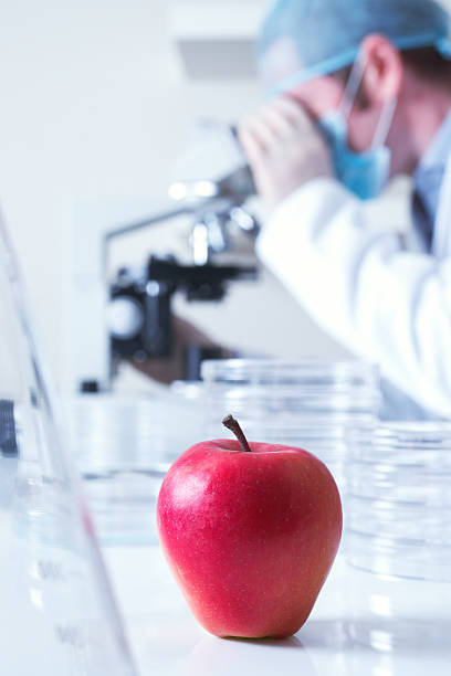 Genetically modified red apple stock photo