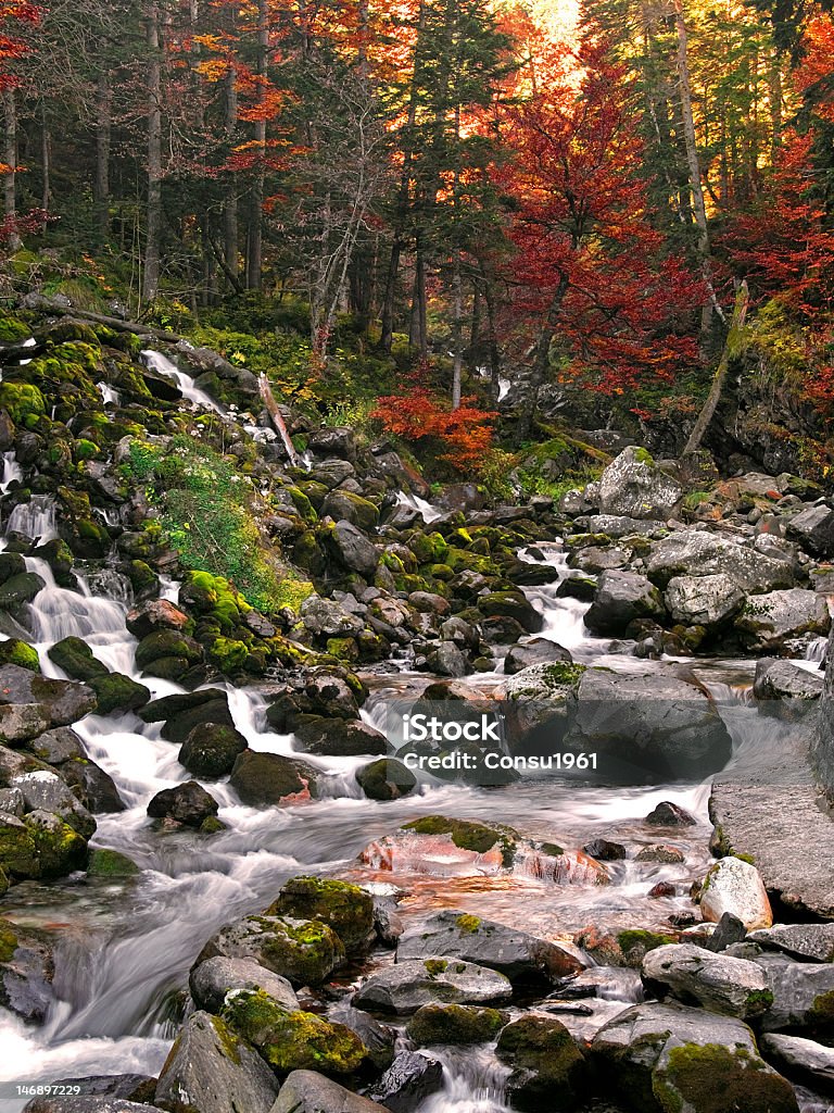 cascada - Foto de stock de Aire libre libre de derechos