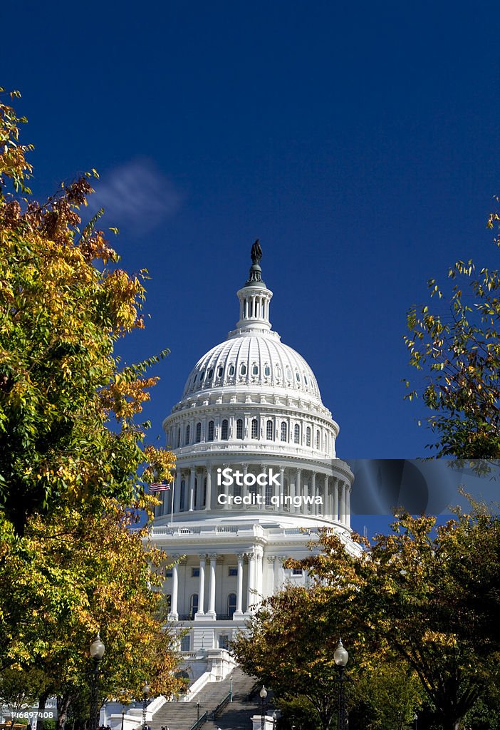 USA. Capital Building Dome, Washington, DC, Herbst gelbe Blätter - Lizenzfrei Amerikanischer Kongress Stock-Foto