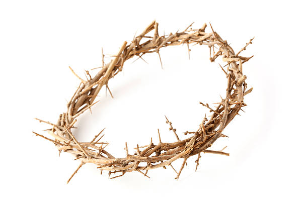 istock Crown of Thorns on White Background 146897901