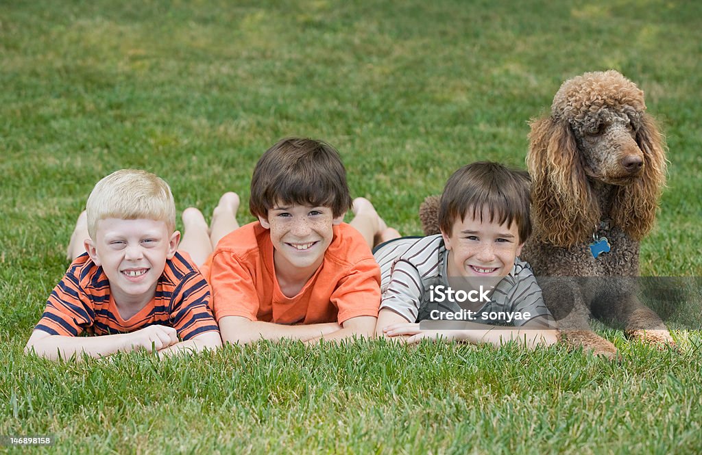 Boys Playing Three Boys Playing With Their Dog Child Stock Photo