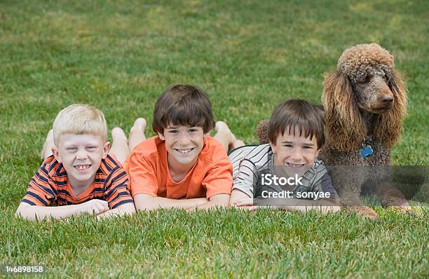 Boys Playing Stock Photo - Download Image Now - Child, Standard Poodle, Animal