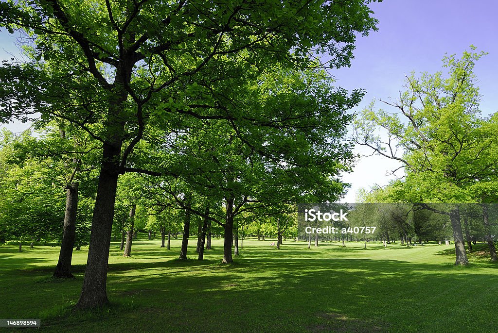 Prado - Foto de stock de Aire libre libre de derechos