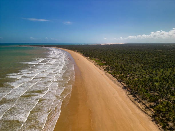 istock Flecheiras Beach in Alagoas 1468989306