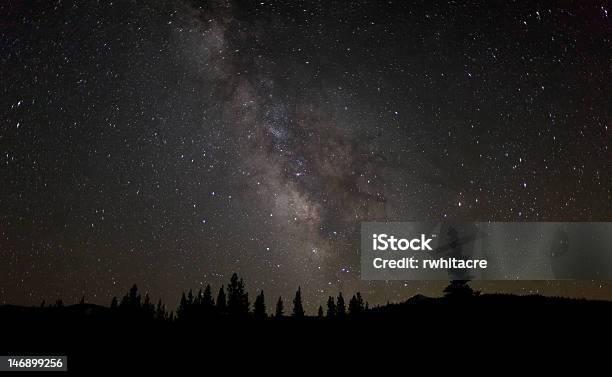 Milchstraße Scheint Über Tuolumne Meadows Stockfoto und mehr Bilder von Milchstraße - Milchstraße, Yosemite-Nationalpark, Baum