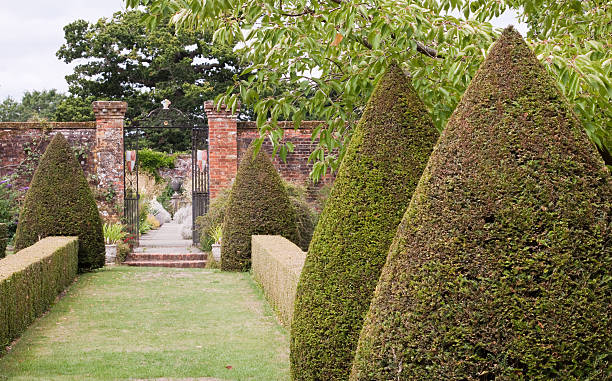 istock Topiary and the Walled Garden 146899412