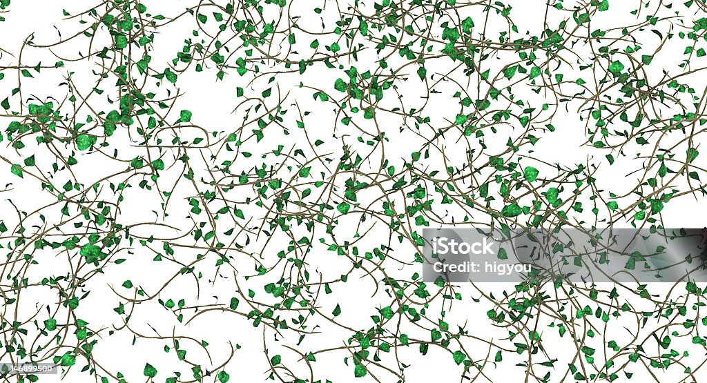 Leaf Vine Background Stock Photo - Download Image Now - Vine - Plant,  Tangled, Three Dimensional - iStock