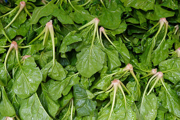 istock Fresh green spinach at the local market 146899690