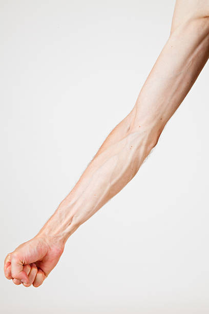 istock veins of a man 146900051