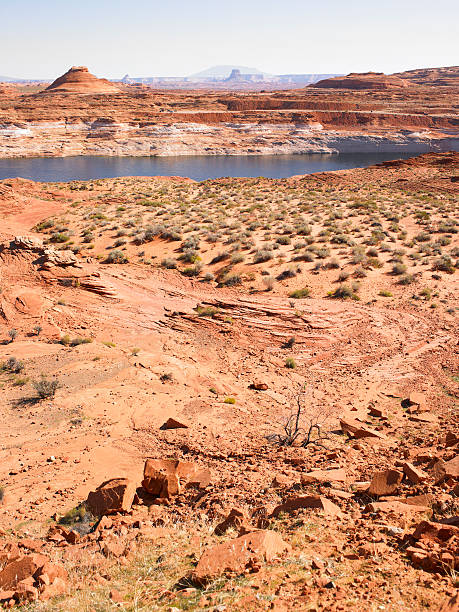 istock Desert Landscape with River in Background 146900190