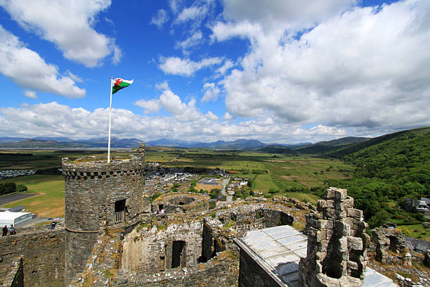 château d'harlech avec le mont snowdon dans l'arrière-plan - welsh culture wales welsh flag dragon photos et images de collection