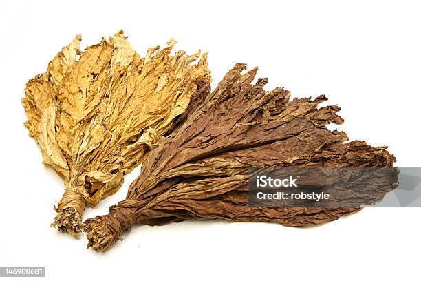 Tytoń Liści - zdjęcia stockowe i więcej obrazów Suchy - Suchy, Suszony produkt, Uprawa tytoniu