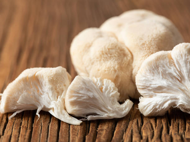 istock Hericium erinaceus mushroom on wooden background 1469013834