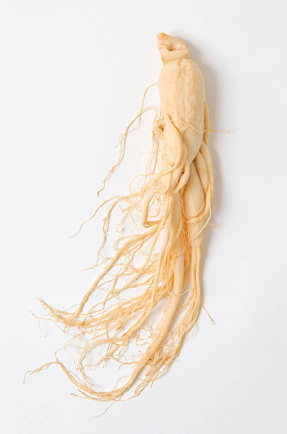 ginseng raíz - ginseng fotografías e imágenes de stock