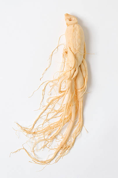 Ginseng root on white background stock photo