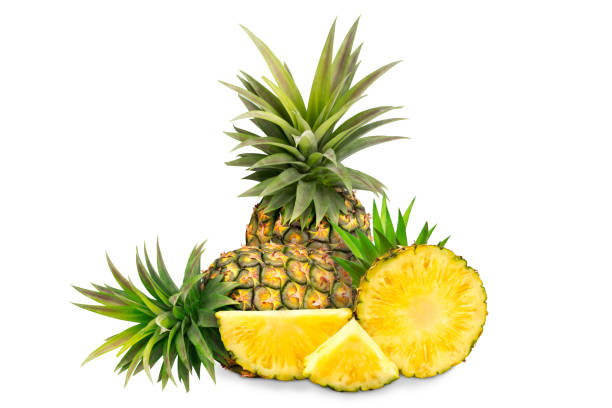 istock whole pineapple and pineapple slice. Pineapple with leaves isolate on white. Full depth of field. summer fruits, for a healthy and natural life, 1469016186