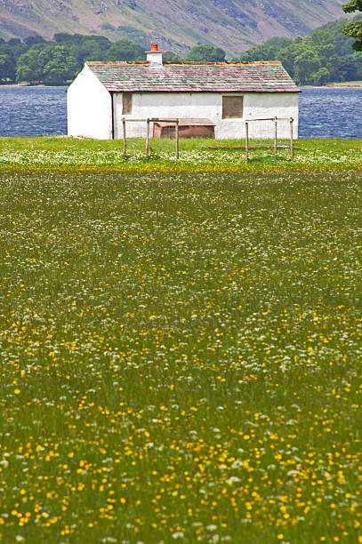 istock small white hut in buttercup meadow, Buttermere 146901868